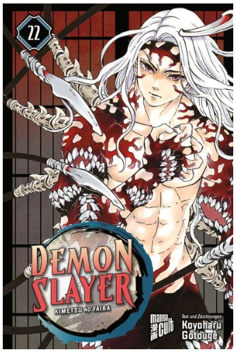 [MANGA] Demon Slayer 22